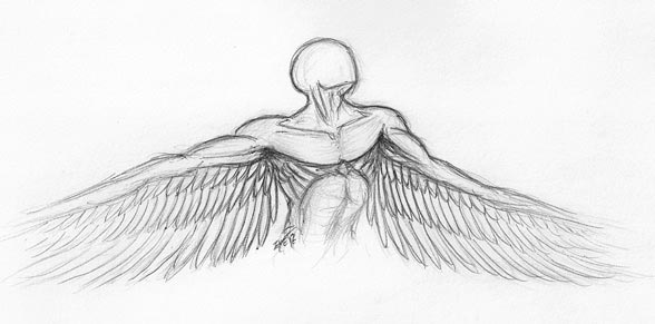 Angel Sketch